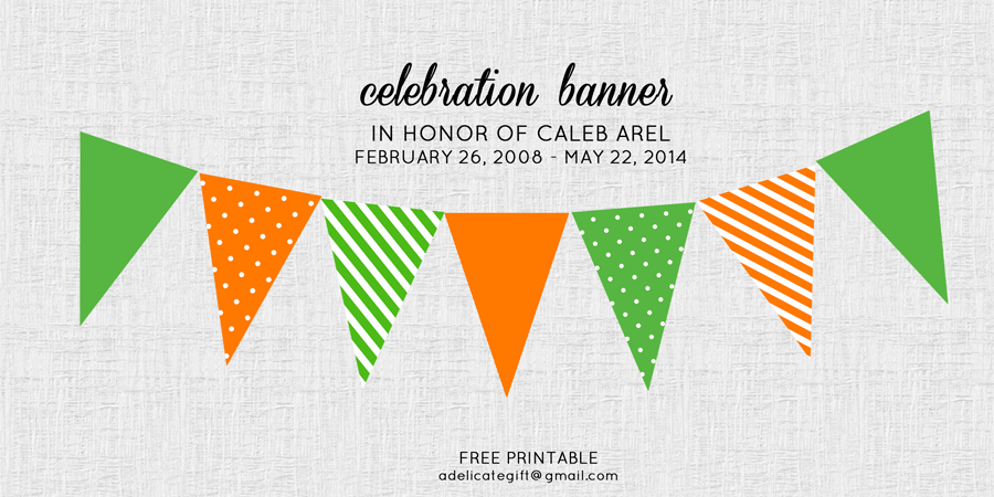 Caleb's-Celebration-Banner-Free-Printable