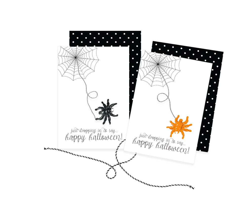 spider-card-for-media